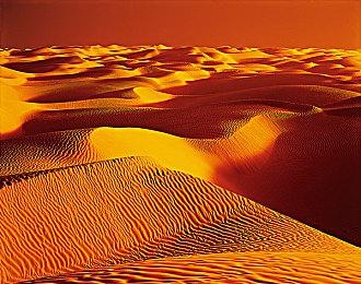 少前IP同世界观策略战旗游戏——《逆向坍塌：面包房行动》开启限量招募测试